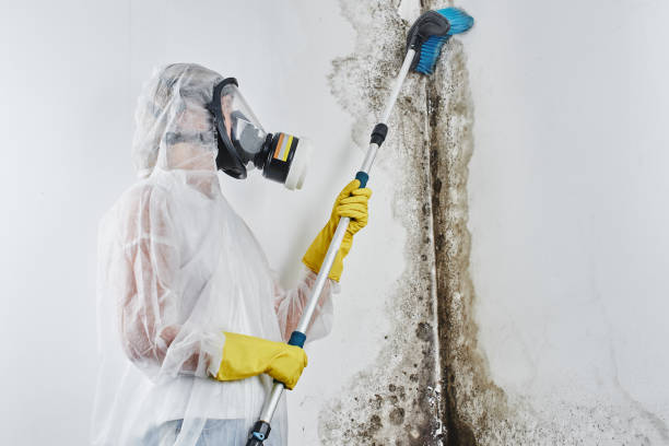 Best Crawl Space Mold Removal  in Oak Grove, AL