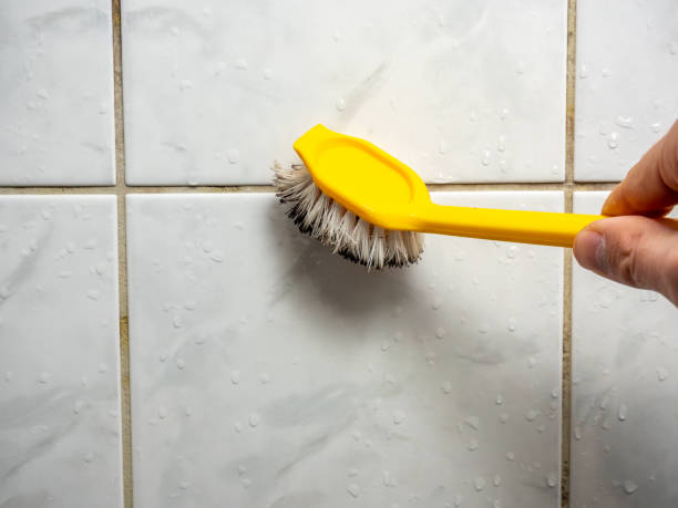 Best Mold Testing  in Oak Grove, AL
