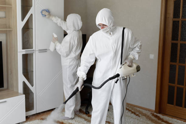 Crawl Space Mold Removal in Oak Grove, AL