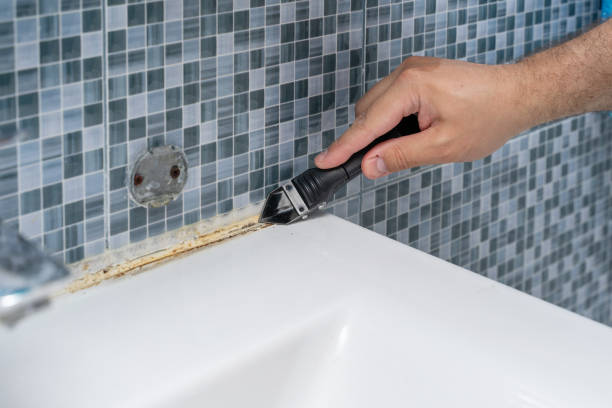 Best Office Mold Removal Services  in Oak Grove, AL